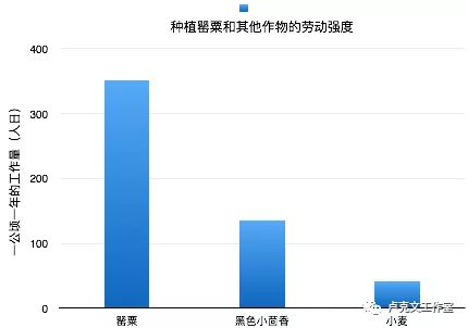 阿富汗塔利班传第6张