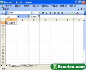 Excel2003输入文本第1张