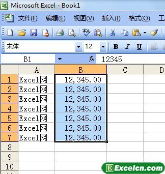 使用Excel2003的菜单命令设置数字格式第3张