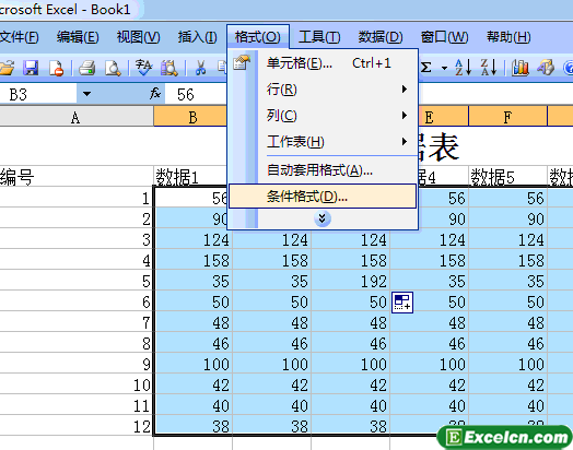 设置Excel2003条件格式第1张