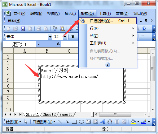 设置excel2003中自选图形格式的具体方法第1张