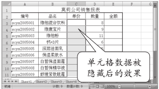 隐藏Excel2007单元格中的内容第3张