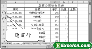 Excel2007隐藏行和列第2张