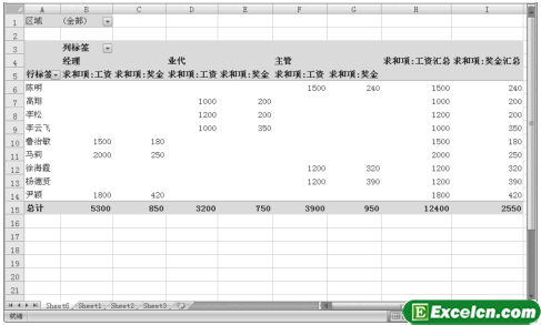 Excel中查看数据透视表第1张