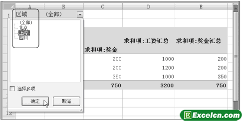 Excel中查看数据透视表第4张