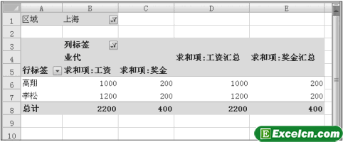 Excel中查看数据透视表第5张