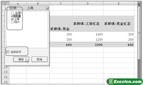 Excel中查看数据透视表第6张