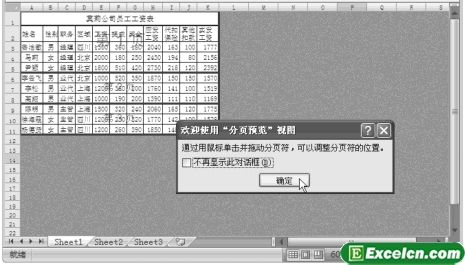 Excel2007分页预览第2张