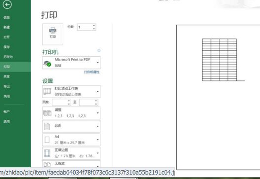 excel2013打印预览第1张