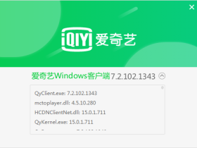 爱奇艺视频转换器