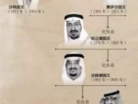 黑凤凰：小萨勒曼传（下）