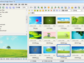 FastStone Image Viewer-图片浏览器