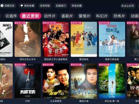 FreeDTV-免费开源的电视、盒子软件，支持手机端（附接口及使用教程）