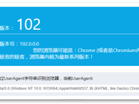 浏览器内核检测-解决无法更新Chrome的问题