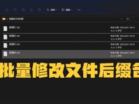 不用软件批量更改文件格式