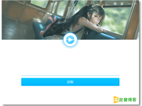RealTool-直播源链接获取工具