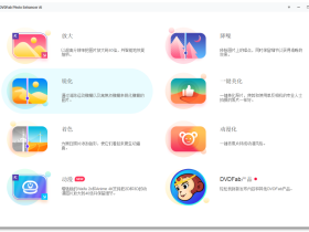 DVDFab Photo Enhancer AI-AI图片无损放大软件