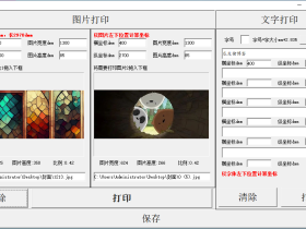 A4纸精确定位套打工具