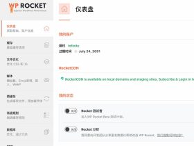 WP Rocket插件配置教程-WordPress缓存插件