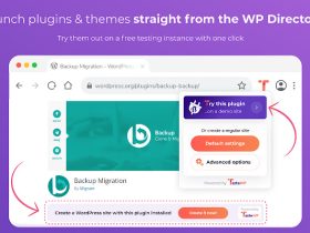 浏览器插件TasteWP-一键搭建WordPress测试环境，快速检测网站是否使用WordPress，并反馈使用的主题和插件