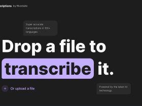 AI Transcriptions-在线AI音频、视频转文字服务