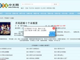怠惰小说下载器-下载小说并保存为TXT