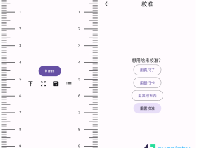 GuessIron-手机当尺子