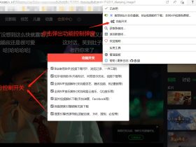 Script Pro-支持多网站的视频解析增强脚本