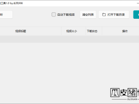 微信视频号下载工具1.0