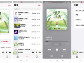 AppRhyme（果韵）-免费开源跨平台音乐播放器
