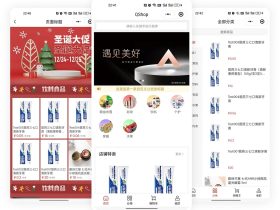 QShop商城-全新轻量级电商系统