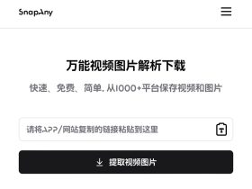 SnapAny-在线万能视频图片解析下载工具