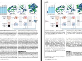 PDFMathTranslate-PDF文档翻译及双语对照工具