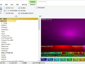 TreeSize-磁盘空间分析神器