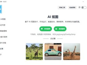 小宾AI抠图-开源、多功能的图像处理工具